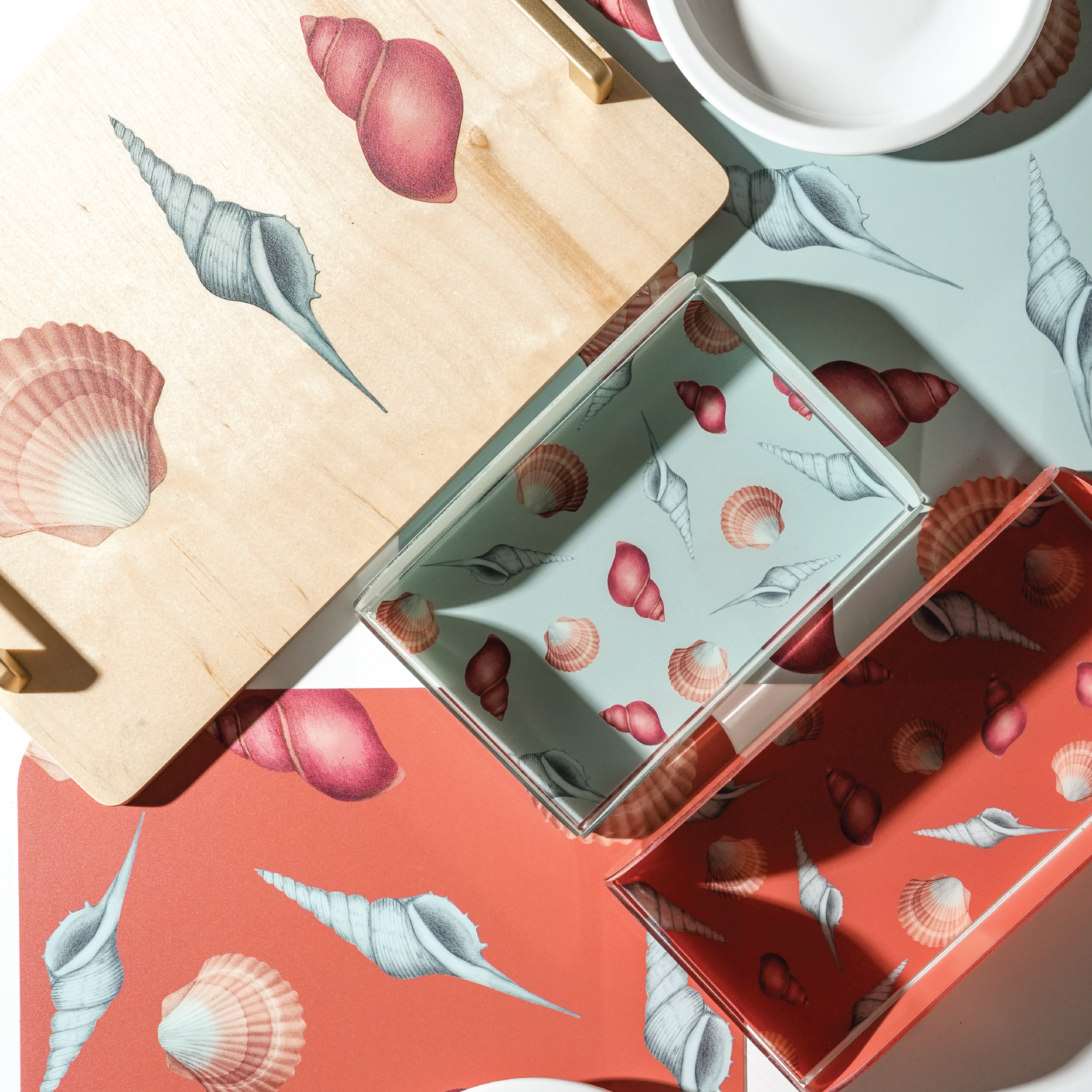 Seashells Collection
