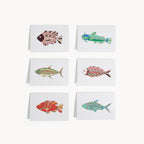 Dampa - Folded Cards with Envelopes Design 1 (set of 12)