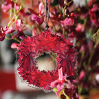 Poinsettia Ornaments (set of 3)