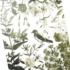 Millie Jade - Placemats (set of 4)
