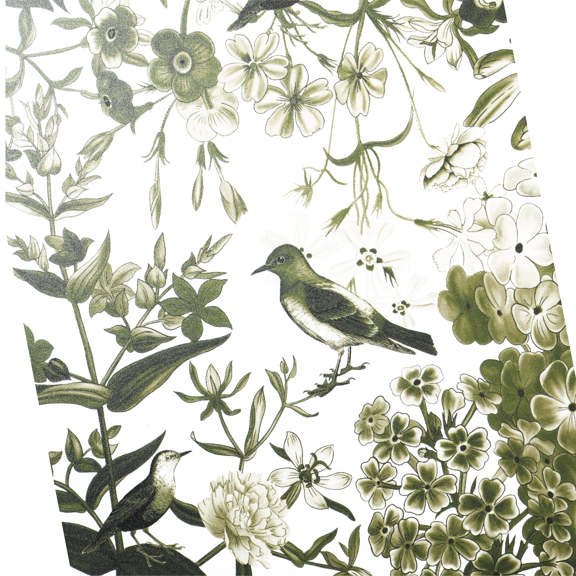 Millie Jade - Placemats (set of 4)