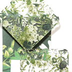 Millie Jade - Acrylic Coaster (set of 4)