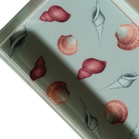 Seashells Seafoam - Small Catch Tray