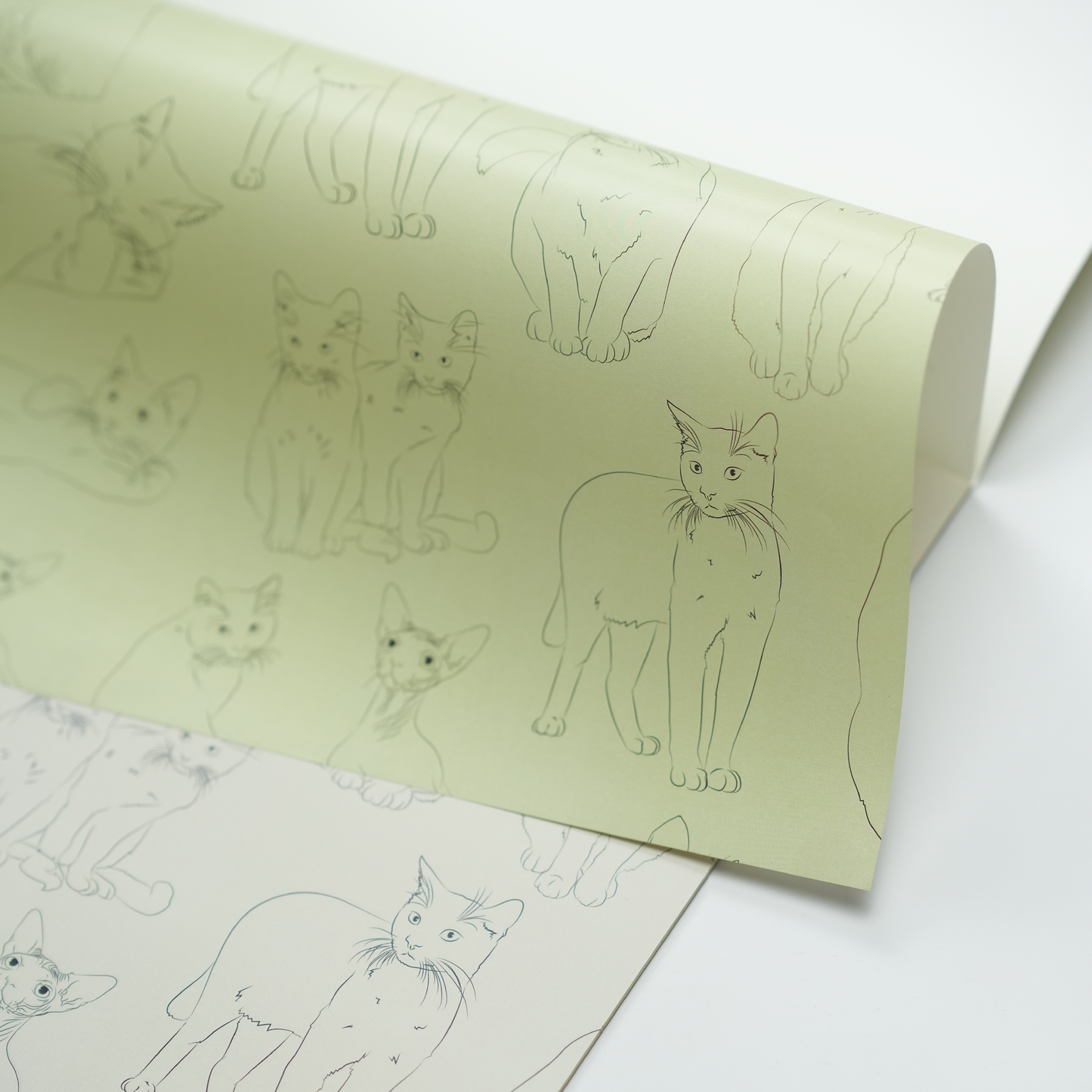 Feline - Paper Placemats