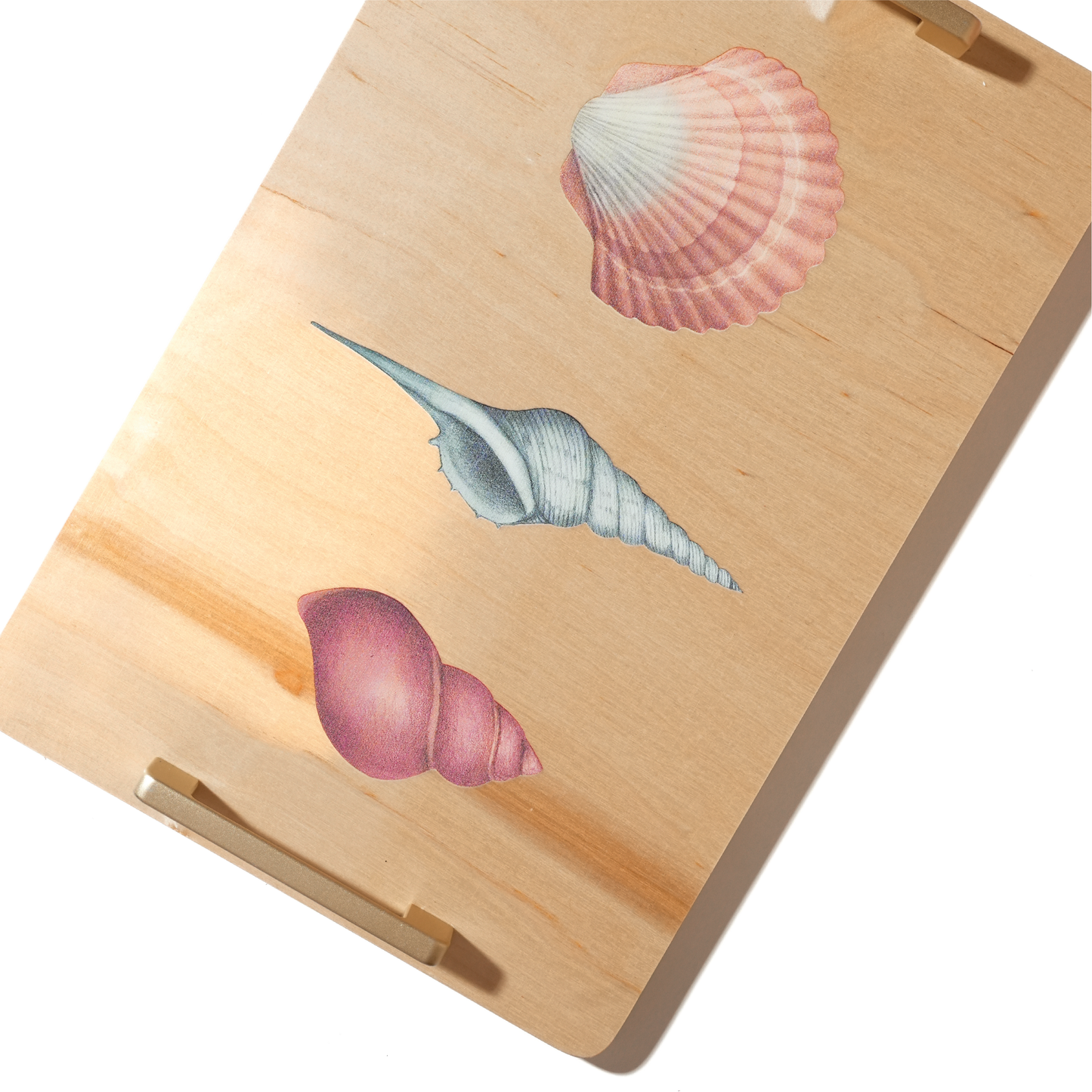 Seashells Wooden Tray