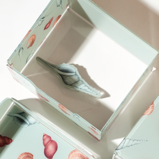 Seashells Seafoam - Napkin Holder