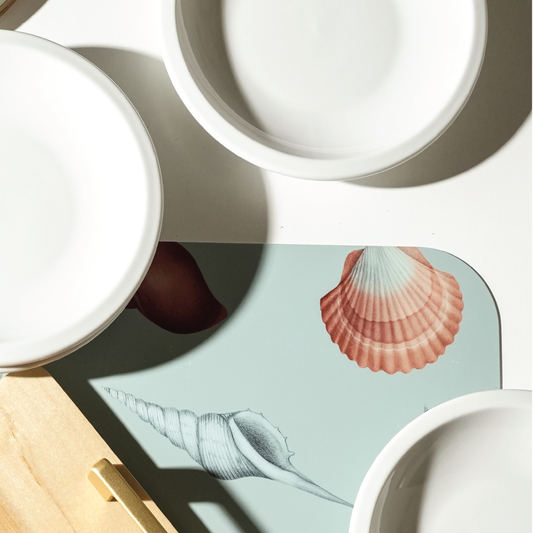Seashells Seafoam - Placemats (set of 4)