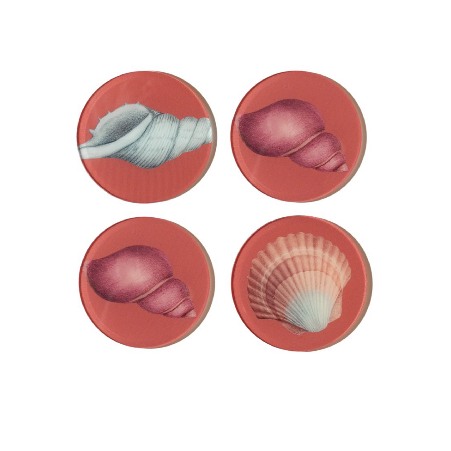 Seashells (Sunset) - Acrylic Coaster (set of 4)