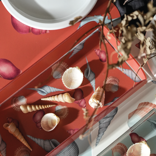 Seashells Sunset - Big Catch Tray